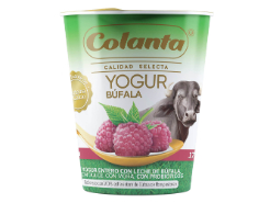 Yogurt Colanta Búfala Mora 170 g