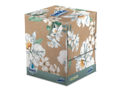 Pañuelos Familia Cubo X 60 110 g