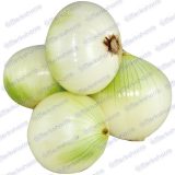 Cebolla de Huevo Pelada Kilo - Kg