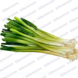 Cebolla de Rama Pelada Kilo - 500g