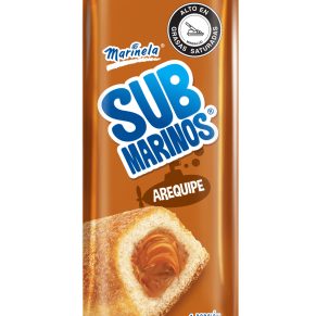 Ponque Submarino Arequipe X 33