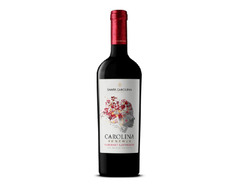 Vino Santa Carolina Reserv Caber Saux 750