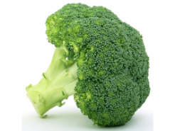 Brocoli Kilo