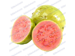 Guayaba Extra Kilo