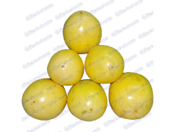 Maracuya Extra Kilo