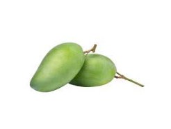 Mango Fairchild Kilo