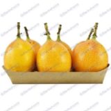 Bandeja Granadilla 5 und