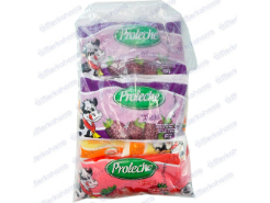 Yogurt Proleche Surtido 6 und 900 g