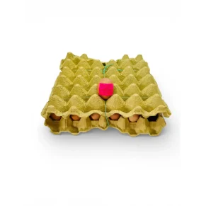 Huevos Campesinos Canasta X 30