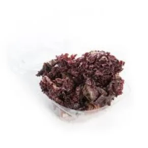 Lechuga Morada Crespa Domo 130 g