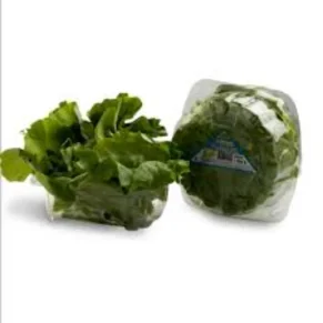 Lechuga Lisa Domo 130 g